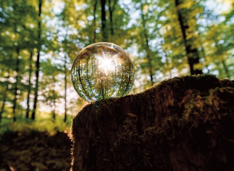 Learning experience from other carbon markets
