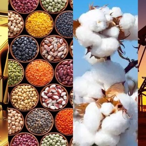 Mục đích cốt lõi của dự án luật là khắc phục các bất cập, khoảng trống pháp lý hiện hành. Ảnh minh họa.