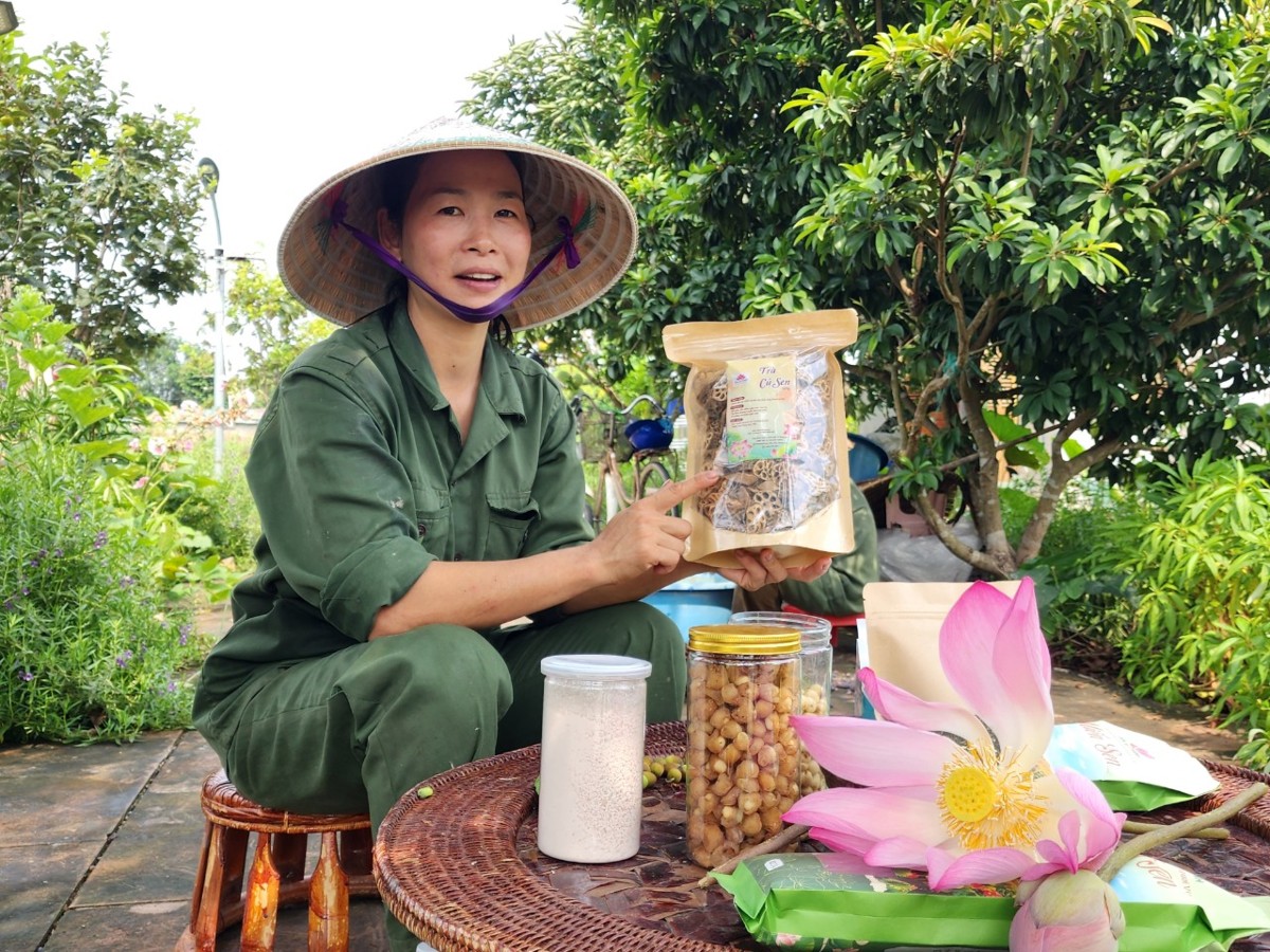Các sản phẩm chế biến từ sen của hợp tác xã. Ảnh: Nguyễn Thuấn