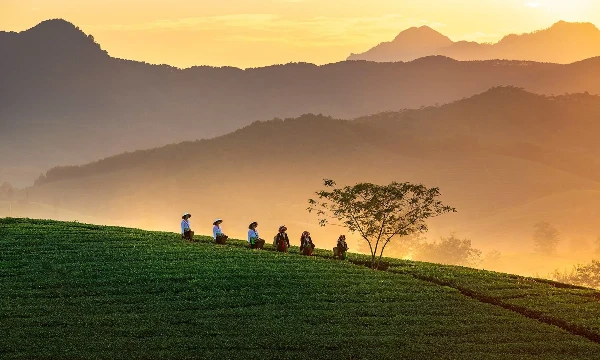 Những tín hiệu mới trong quảng bá du lịch cộng đồng