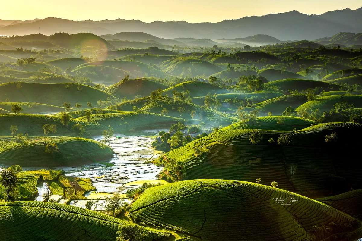 Ảnh của Hoang Nguyen được đăng trên kênh Thread AmazingLongCoc.
