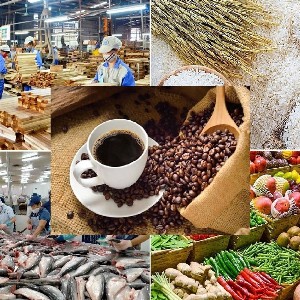 Nông sản, thực phẩm và thủy sản Việt Nam xuất khẩu sang thị trường Italia phải trải qua nhiều quy trình thẩm định nghiêm ngặt. Ảnh: MOIT.