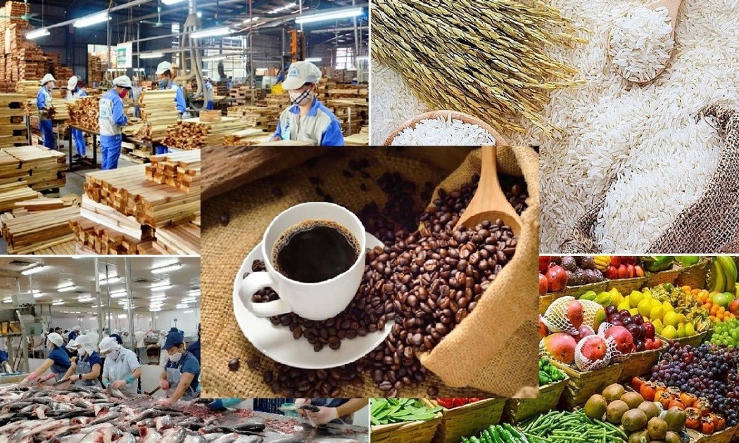 Nông sản, thực phẩm và thủy sản Việt Nam xuất khẩu sang thị trường Italia phải trải qua nhiều quy trình thẩm định nghiêm ngặt. Ảnh: MOIT.