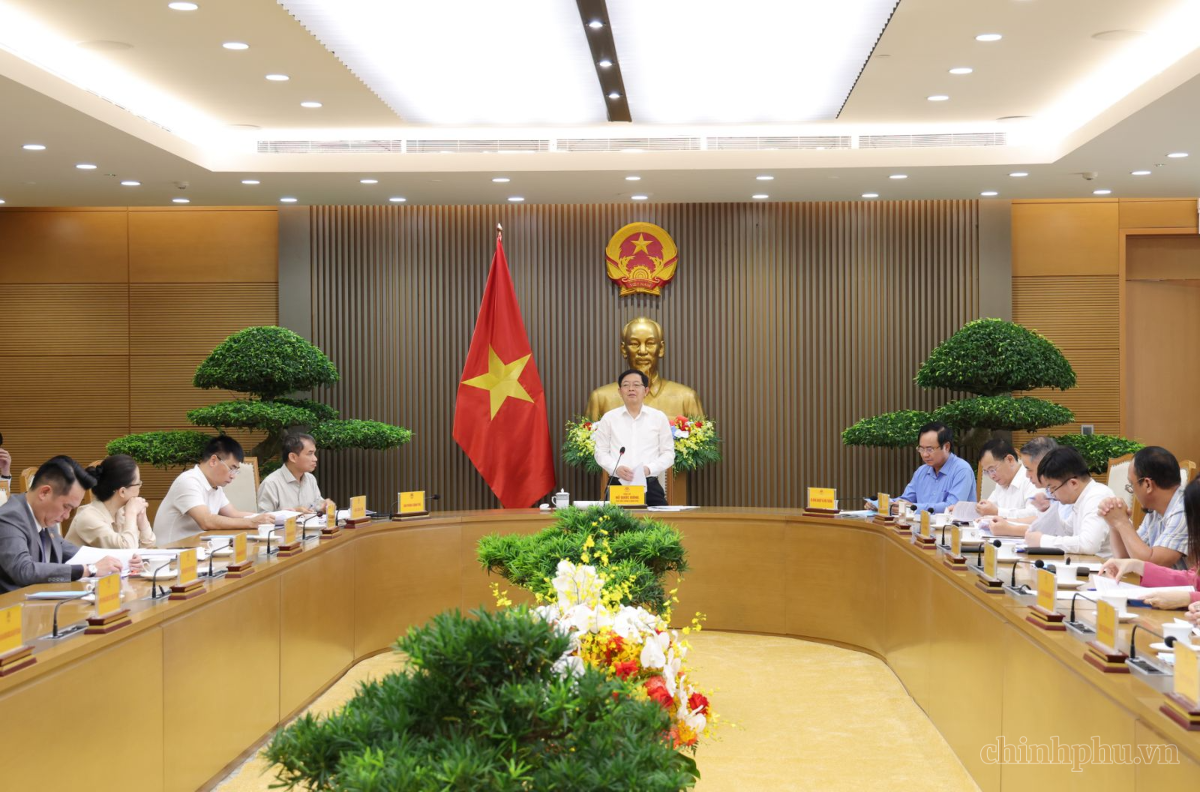 Phó Thủ tướng Hồ Quốc Dũng chủ trì, phát biểu chỉ đạo tại cuộc họp về tình hình xử lý kiến nghị, khó khăn, vướng mắc của doanh nghiệp trong lĩnh vực đất đai, môi trường, khai thác khoáng sản và nguồn vật liệu. Ảnh: Gia Huy