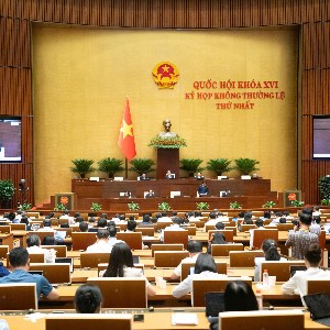 Toàn cảnh phiên họp ngày 12/8. Ảnh; Quốc hội