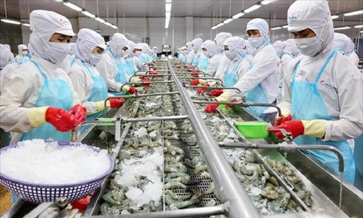 Tính đến nay, tổng số doanh nghiệp thủy sản Việt Nam được phép xuất khẩu vào thị trường Đài Loan đã nâng lên 787 doanh nghiệp. Ảnh: VASEP.