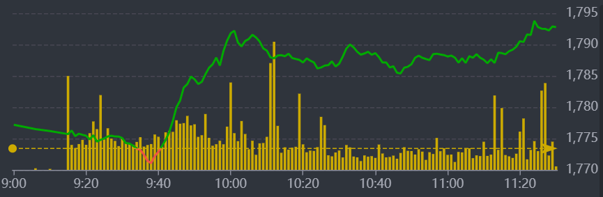 Diễn biến VN-Index sáng nay.