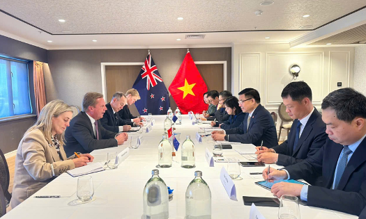 Vietnamese Minister of Industry and Trade Le Manh Hung held a bilateral meeting with New Zealand Minister for Trade and Investment Todd McClay, on August 13. (Photo: Ministry of Industry and Trade)