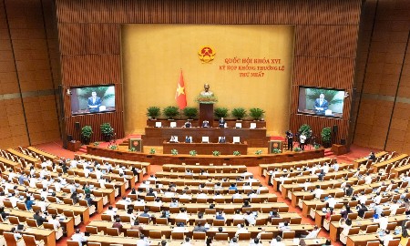 Cắt giảm thủ tục trong lĩnh vực nông nghiệp và môi trường: Gắn phân cấp với hậu kiểm