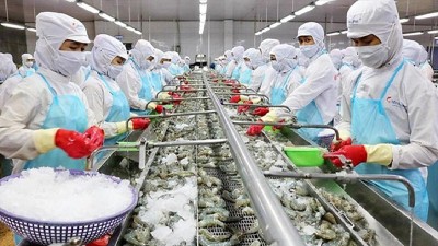 More Vietnamese seafood firms licensed to export to Taiwan (China) 