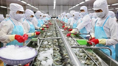 More Vietnamese seafood firms licensed to export to Taiwan (China) 