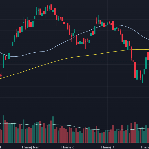 VN-Index và các đường MA200 ngày, MA50 ngày.