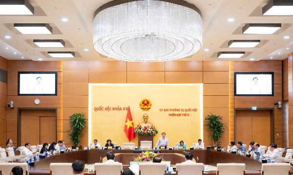 Chỉnh lý, hoàn thiện dự án luật, bảo đảm sự đồng bộ của hệ thống pháp luật