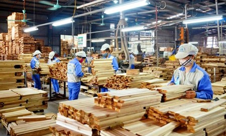 Đưa AI vào “lõi” vận hành, thúc đẩy chuyển đổi quản trị ngành gỗ