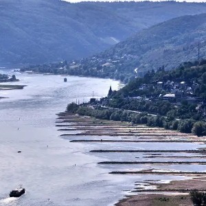 Hạn hán đã khiến mực nước sông Rhine, con sông dài nhất nước Đức, giảm mạnh. Ảnh: Michael Probst/AP Photo/picture alliance