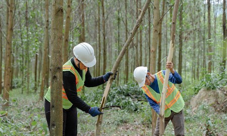 Làm rõ cơ chế hoàn trả tiền cho người lao động khi không được xuất cảnh