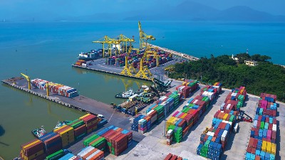 Exporters face differing obligations