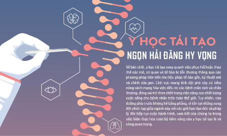 Y học tái tạo: Ngọn hải đăng hy vọng