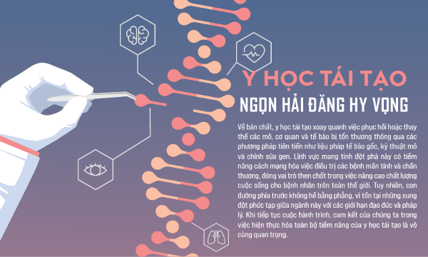 Y học tái tạo: Ngọn hải đăng hy vọng