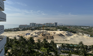 Ảnh minh hoạ: Phan Nam