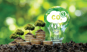 Chất lượng tín chỉ carbon là một trong những yếu tố quan trọng được nhà đầu tư quan tâm. Ảnh: vetmedia