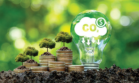 Nhà đầu tư quốc tế tìm kiếm gì ở các dự án carbon?