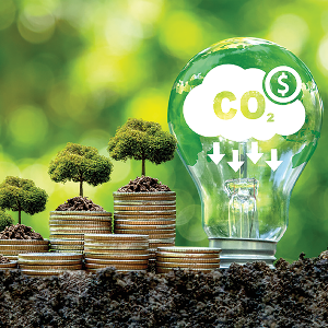 Chất lượng tín chỉ carbon là một trong những yếu tố quan trọng được nhà đầu tư quan tâm. Ảnh: vetmedia
