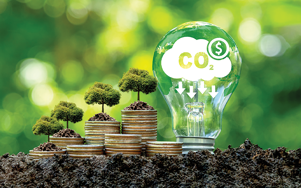 Chất lượng tín chỉ carbon là một trong những yếu tố quan trọng được nhà đầu tư quan tâm. Ảnh: vetmedia