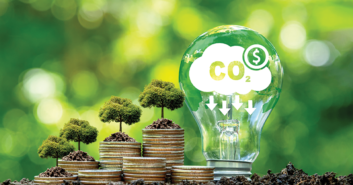 Tiêu chí đầu tư vào dự án carbon: Chất lượng tín chỉ và tính bền vững được ưu tiên