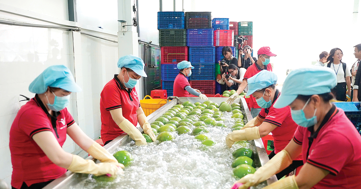 Nông, lâm, thủy sản xuất siêu lớn khẳng định vai...