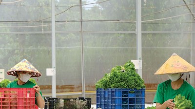 In-house conformity for food companies 
