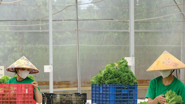 In-house conformity for food companies 