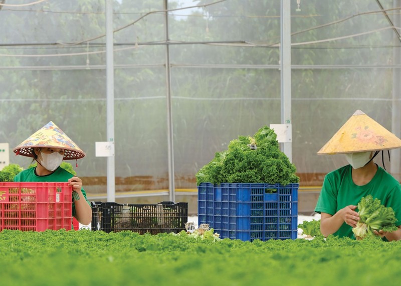 In-house conformity for food companies 