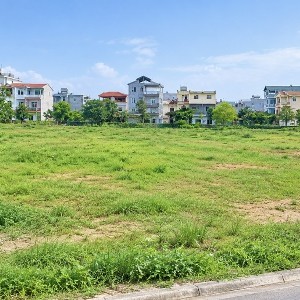 Ảnh minh hoạ: Thanh Xuân