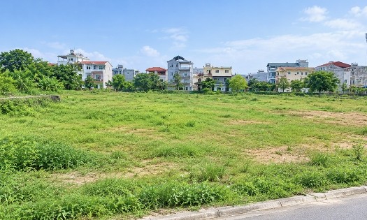 Ảnh minh hoạ: Thanh Xuân