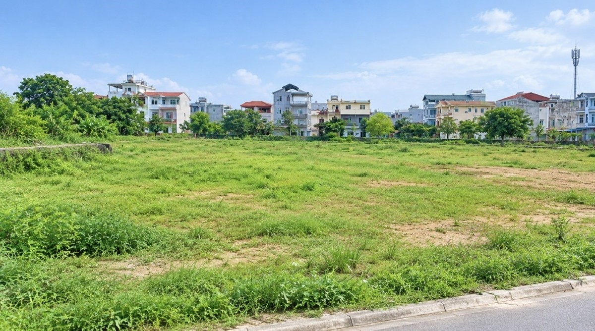 Ảnh minh hoạ: Thanh Xuân