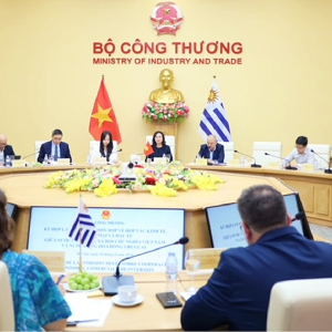 Kỳ họp lần IV Ủy ban Hỗn hợp về Hợp tác kinh tế, thương mại và đầu tư giữa Việt Nam và Uruguay. Ảnh: MOIT.