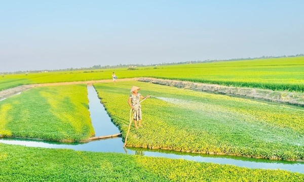 Việt Nam triển khai các biện pháp ứng phó với ảnh hưởng của El Niño
