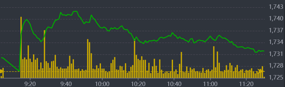 Diễn biến VN-Index sáng nay.