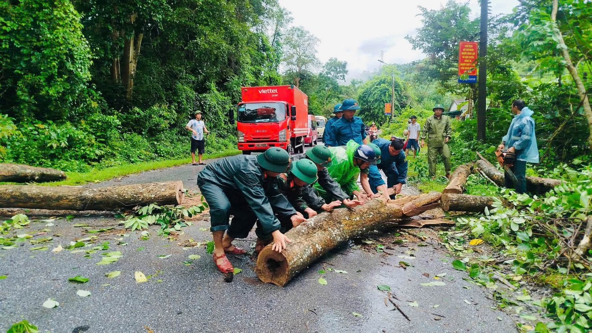 Chính quyền địa phương đã huy động lực lượng và máy móc đến hiện trường cắt, di chuyển cây, dọn dẹp mặt đường. Sau khi chướng ngại vật được xử lý, giao thông qua khu vực được khôi phục. Ảnh: UBND xã Tam Quang