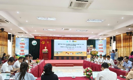 Quang cảnh cuộc họp tham vấn. Ảnh: Ban tổ chức.