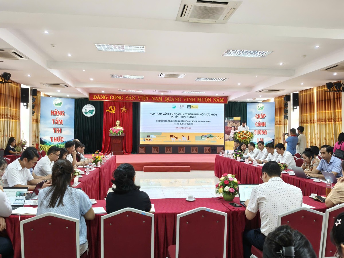 Quang cảnh cuộc họp tham vấn. Ảnh: Ban tổ chức.