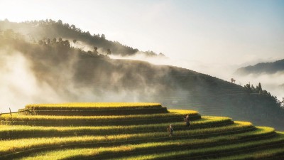 Towards a modernized investment strategy 
