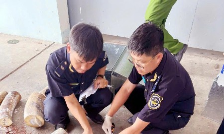 Triệt phá hàng loạt vụ buôn lậu quy mô đặc biệt lớn