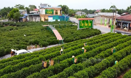 OCOP gắn với du lịch: Dư địa lớn, yêu cầu chuẩn hóa cao