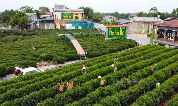 OCOP gắn với du lịch: Dư địa lớn, yêu cầu chuẩn hóa cao