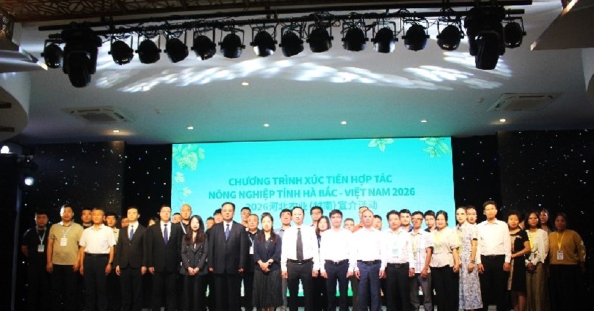 Việt Nam và Hà Bắc (Trung Quốc) tăng cường kết nối logistics nông sản