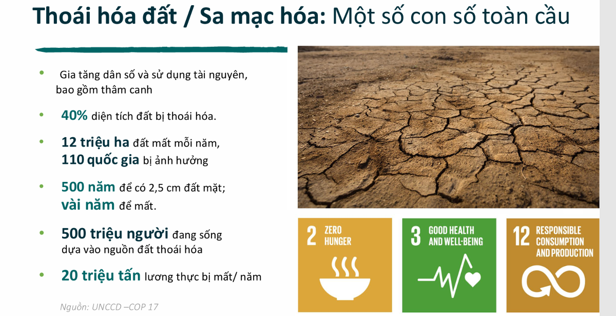 Tình trạng thoái hoá đất trên thế giới. Nguồn: TS Tô Xuân Phúc.