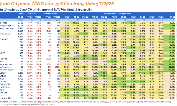 Lý do thị trường cạn thanh khoản: 25 “cá mập” gia tăng “ôm” tiền mặt phòng thủ