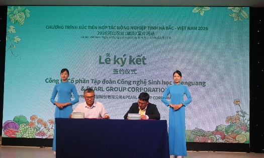 Vietnamese and Hebei (China) enterprises sign cooperation agreements at the event. (Photo: Chu Khoi)